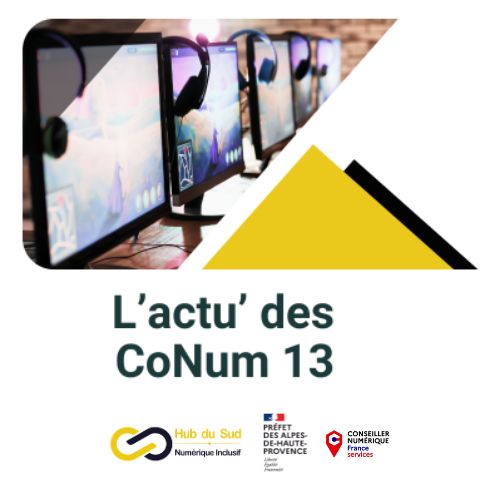 newsletter13